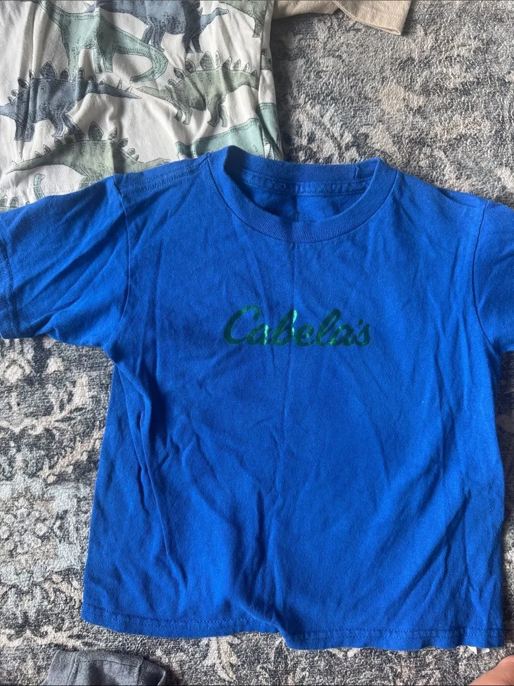 Bundle of 15 Toddler Boys Tops